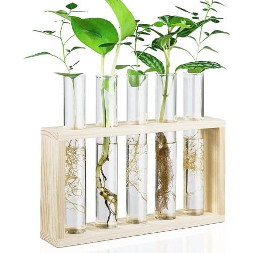 Foundtwo Glass Flower Vases