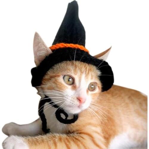 2018 Halloween Party Pet Cat Hat Pet Caps Pumpkin Spider Witch Hat For Animal Pet Costume Halloween Decoration Cat Clothes Cap