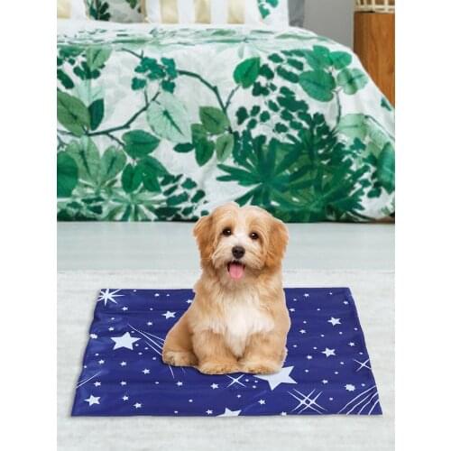 50cm X 40cm Pet Cooling Mat Foldable Dog Cooling Pad Cat Hut Bedding Mats Summer Pad Mat For Dogs Cat Breathable Blanket Sofa