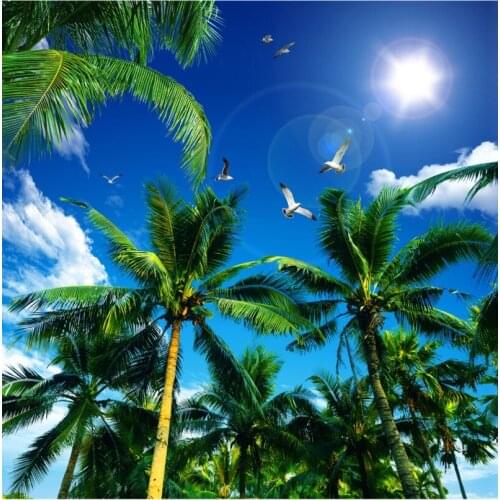 3D Photo Wallpaper For Living Room Ceiling Decoration Mural Wallpaper Coconut tree blue sky white clouds ceiling mural