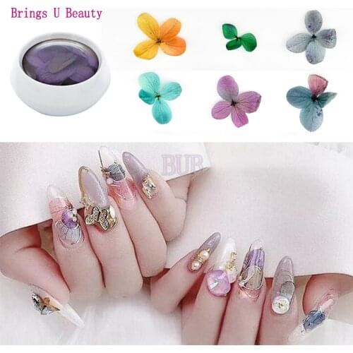6 Pot 3D Real Dried Dry Flower Nail Art Decoration Natural Floral Sticker Nail Art Decals Good For Jewelry Clear UV Gel Polish