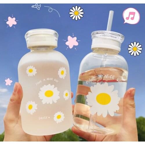 480ml Glass Water Bottle with Straw Frosted Transparent Outdoor Water Cup Adult Kids Student Protable Leakproof Bottle for Water