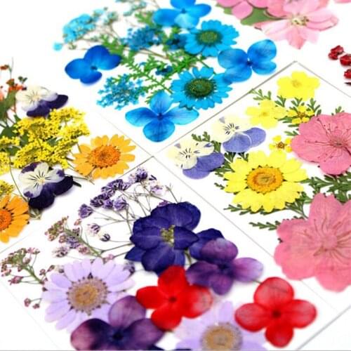1 Box Real Dried Flower Dry Plant Home Aromatherapy Candle Resin Christmas Party Wedding Decoration Making Craft DIY Accessories