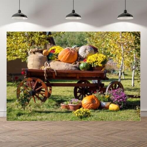 Seekpro Autumn Harvest Pumpkin Thanksgiving Background Photographic Backdrop Garden Bike Scenery Children For Photo Studio Shoot