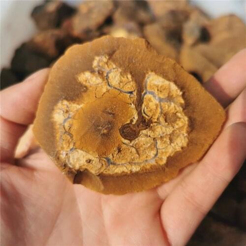 Raw Gemstone Ornament Raw Natural Opal Stone Specimen Ornamental Stones And Minerals Teaching Ore Gifts Collection