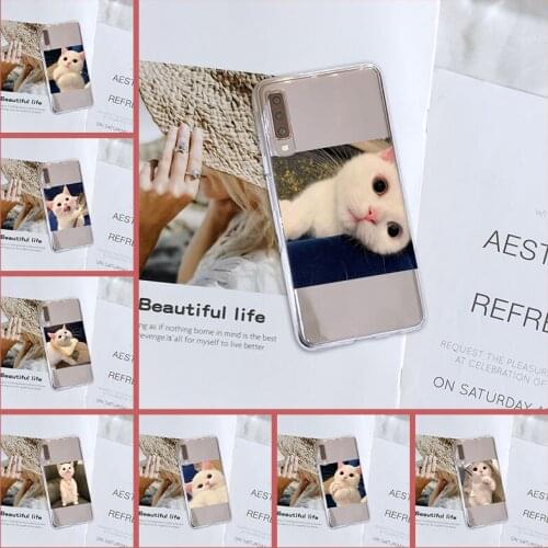 For Samsung Galaxy A5 A7 2018 A6 A8 Plus Case Silicone Kawaii Cat Cute Animal Soft Back Cover For Samsung A3 A5 A7 2016 2017