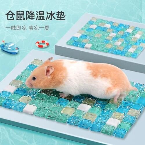Hamster Summer Cooling Ice Pad Djungarian Hamster Summer Cooling Ice Bed Summer Mat Pet Pet Bed Cooling Supplies