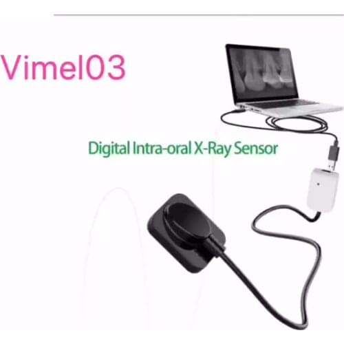 Hot Sale Digital Intra-Oral X-ray Sensor USB Dr X Ray Sensor Mslfp12 Image RVG x-ray Sensor