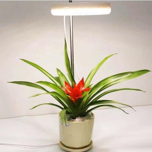 SRAWTY Plant Lamps