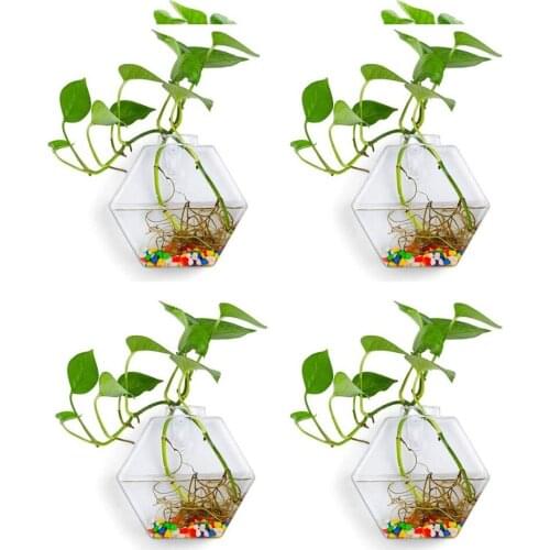 Pack of 4 Wall Hanging Planters Glass Terrariums Hanging Plant Container Wall Planters