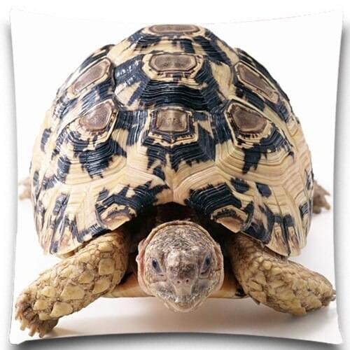 Lovely Tortoise Cotton polyester Square Printed Pillow cases Zipper Cushion Cover Home car sofa Use 16" 18" 20" etc 9 style