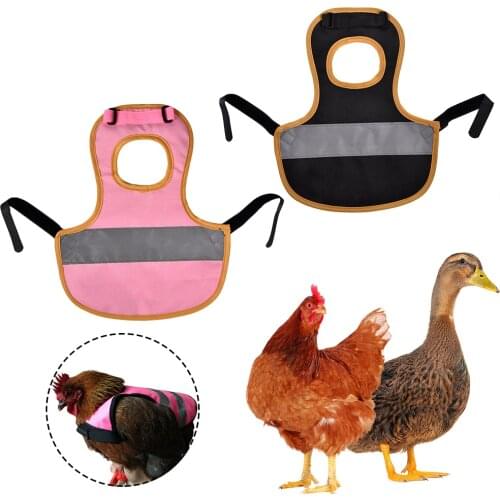 Pet Vest Poultry Clothes Reflective Hen Saddle Apron Elastic Band Adjustable Feather Protection Holder Chicken Duck