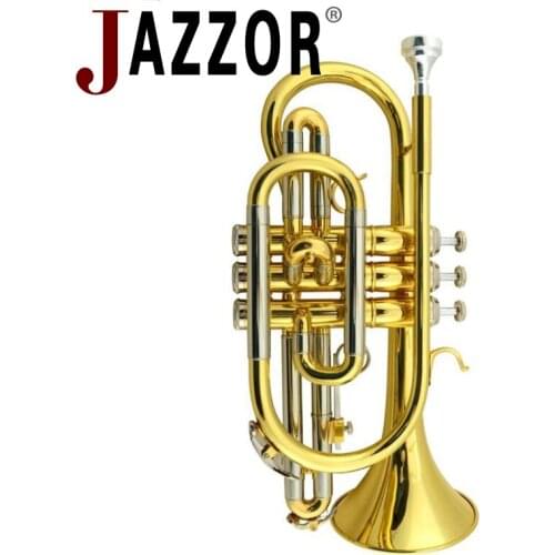 JINYIN Wind Instruments