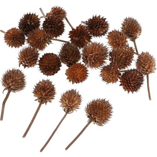 50 Pieces Natural Dried Flower For Wedding Party Christmas DIY Decorations