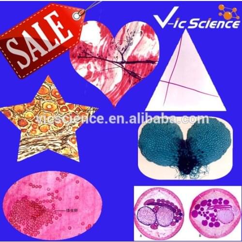 93Pcs Mixed prepared slides set