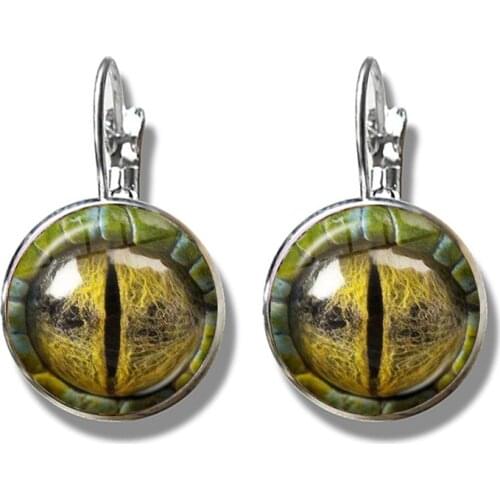 New Dragon Snake Owl Cat Tiger Earrings Fiery Dragon Jewelry Glass Cabochon Animal Eyes French Hook Earrings For Women Girls