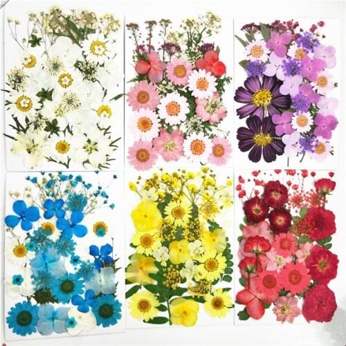 Embossing Dried Flower Material Flower Plants Specimen DIY Craft Scrapbooking Bloemen Flores Secas Christmas Gifts