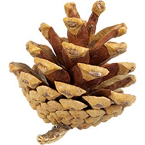 9Pcs Rabbits Toys Chew Toys Teeth Care Molar Toys for Guinea Pigs Rat Small Pet Molars Supplies Accessories