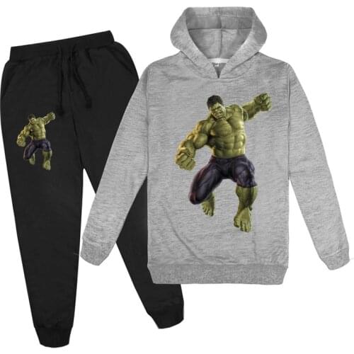 Disney Hulk Cotton Long Sleeve Hoodies+pants Kawaii Cartoon Cute Baby Boys Girls Clothes Set Sweatshirts Hoodies Outfits