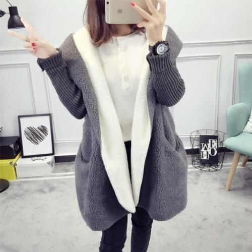 Autumn winter warm women sweater new 2021 fashion casual hooded Female Warm wool lining sweater big pocket women basic tops