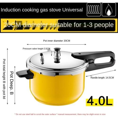 304 Stainless Steel Pressure Cooker Household Gas Induction Cooker Universal Explosion-Proof Pressure Cooker 2-3-4-5-6 People