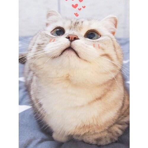 YIKEE Diamond Embroidery 5d Cat Kits Handmade Needlework DIY Diamond Painting Mosaic Rhinestone Picture y090