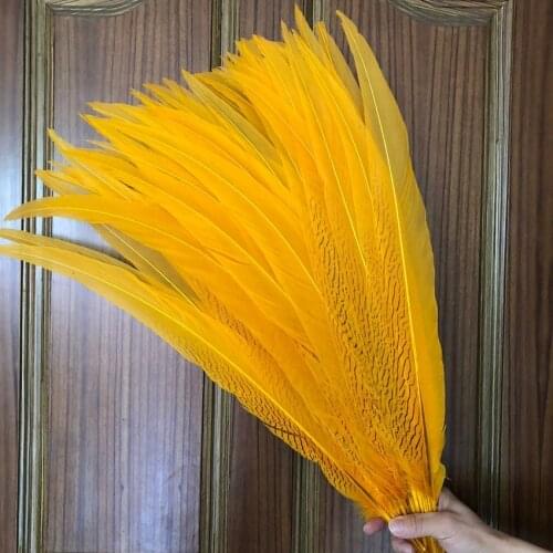 Cking Factory Sales 50pcs Gold Yellow pheasant silver tails Feather 65-70cm long chicken tail Feathers for carnival backpieces