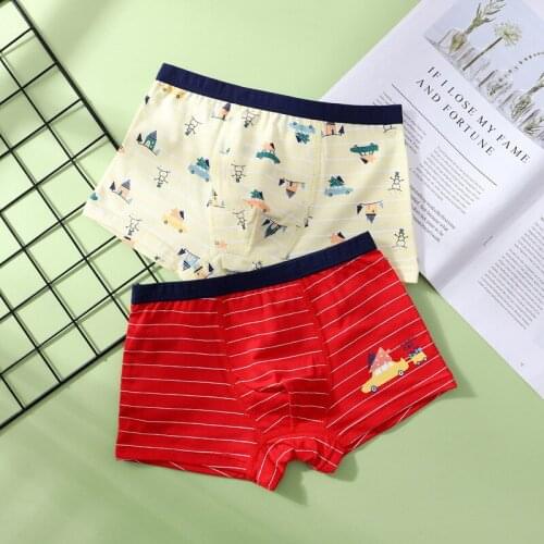 2 Pcs/pack Toddler Underwear Boys Cute Dinosaur Panties Pack Cotton Children Red Striped Underpants Kids Baby Boxers Shorts 14Y