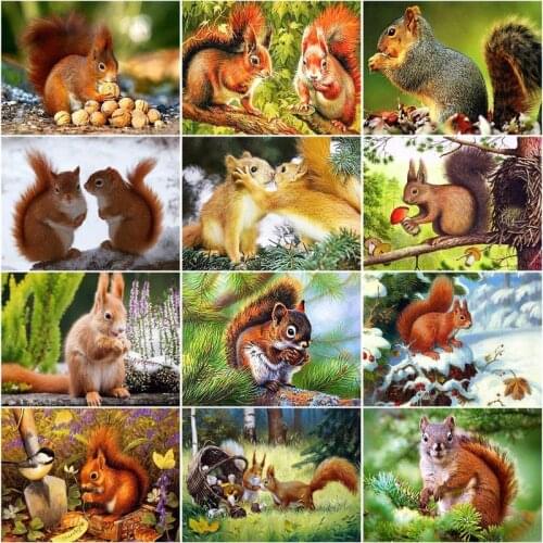 RUOPOTY 60x75cm Frame Picture By Number Squirrel Animals Picture By Numbers Acrylic Paint On Canvas Home Decors Artcraft Diy Kit