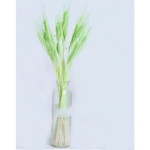 100pcs natural dried flower bouquets natural green color dried ear of wheat bouquets&wheat ear Bunches