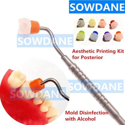 1set Dental Aesthetic Printing Mold Kit with Metal Handle and 8pcs mold for Posterior Teeth Printing Mould set Disinfection