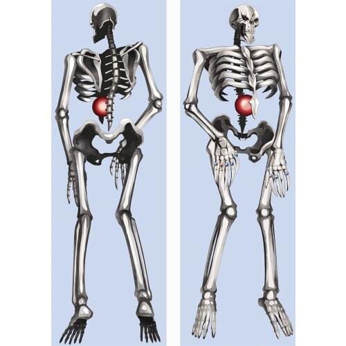 Anime Ainz Ooal Gown Cosplay Dakimakura PillowCover Overlord Character Pillowcase Body Pillowcase Decorative Pillowcases Cushion