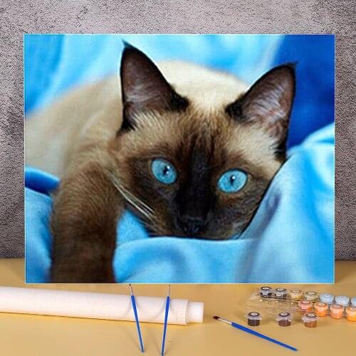 Cat Animal DIY Paint By Numbers Package Oil Paints 50*70 Oil Painting Loft Picture For Kids Wholesale Art