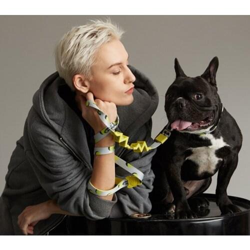 Buffer Shock-absorbing Dog Leash Small-medium Dog Leads Poodle Corgi Bulldog Shiba Inu Dog Leashes Dog Supplies Dog Accessories