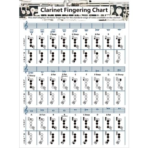 FANSIC Clarinets