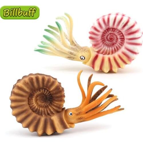 Simulation Undersea Creature Action Plastic Action Models Nautiloidea Figures Collection Dolls Educational toy for children Gift