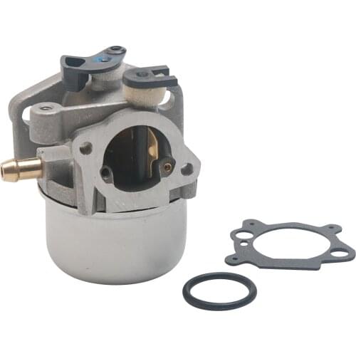Carburetor For BRIGGS & STRATTON 794304 796707 799866 Toro Craftsman Carb