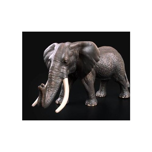 Wholesale factory Copper Medium decoration Zoo toy model Wild animal world Ranch Africa elephant