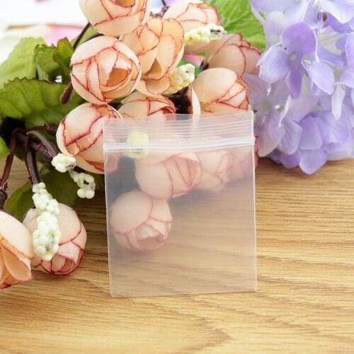 Resealable Plastic PE Clear Zip Lock Bags 100pcs 1.5x2.5cm Jewelry Earring Necklace Gift Food Packaging Storage Bag