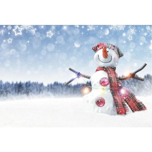 Beautiful Snowman and Snow Scene Backdrop Holiday Photography Background Celebration Photo Booth Studio Decor