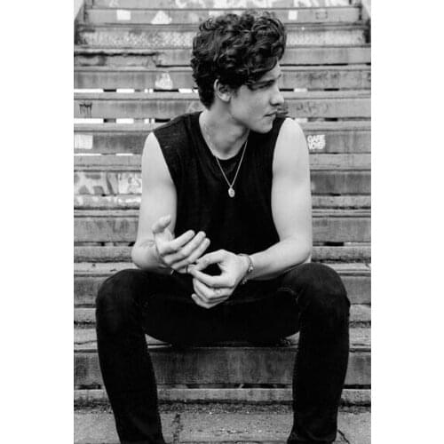 Shawn Mendes Music Hot Singer Star Fashion Silk Fabric Wall Poster Art Decor Sticker Bright