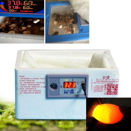 25%,Energy-saving Mute Bionic Water-bed Incubator 20 Eggs 12V/220V Mini Thermostat Hatcher PortableIncubation Tools withEgg test