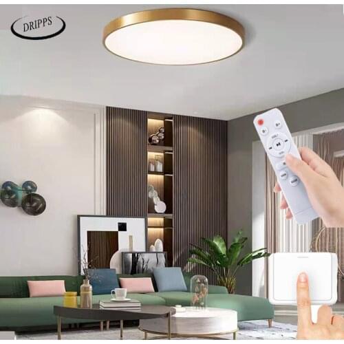 Modern Nordic LED bedroom living room ceiling lamp balcony study aluminum alloy lighting lamp corridor aisle lamps