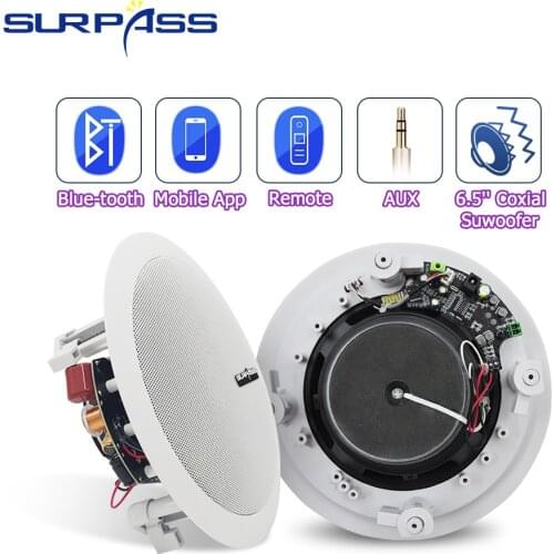 Home Bluetooth Ceiling Speaker Built In Class D Amplifier White Roof Loudspeaker House PA System 30W Indoor Home Audio Speaker