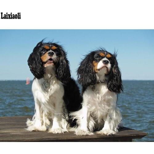 Diamond Mosaic cavalier King Charles Spaniel diamond painting cross stitch,Full square diamond embroidery cute pet Rhinestones