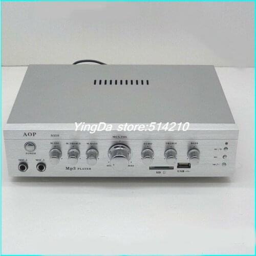 220V High-power power amplifier/ 12V car reverberation karaoke borne power amplifier 150W+150W support SD card USB microphone