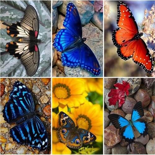 Diy Butterfly 5d Diamond Painting Full Square Drill Animal Diamond Embroidery Cross Stitch Resin Mosaic Wall Art Home Decor