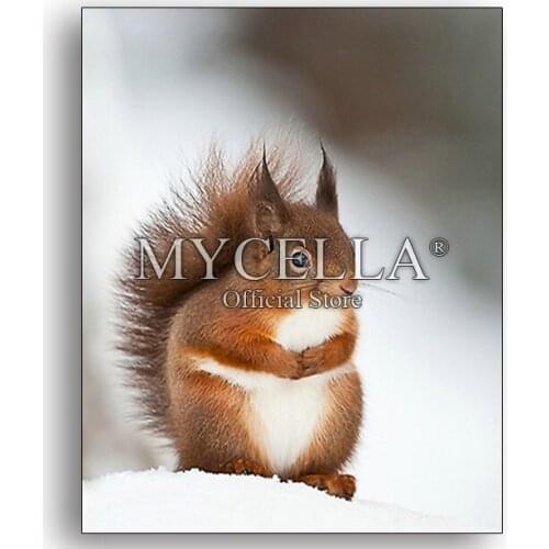 Animals 5D DIY Diamond painting Cross stitch Squirrel Full Diamond Embroidery Mosaic Christmas gift Canvas Picture Home Decor