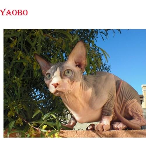 Diy Diamond Embroidery Sphynx Cat Paintings Rhinestones Handcraft Diamond Mosaic cute pet Beadwork Painting 5d Cross-Stitch Kits