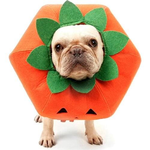 Pumpkin Collar For Dogs Cat Halloween Dress Up Adjustable E-Collar Dog Collar Wound Healing Prevent Bite Elizabeth Circle